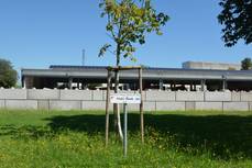 Quelle: Technische Betriebe Offenburg